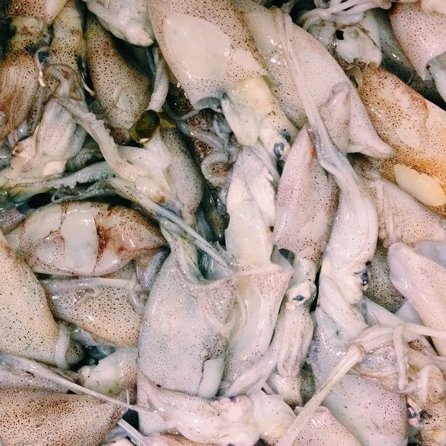 Braun Seafood