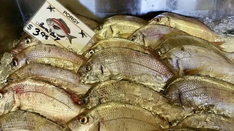 Braun Seafood