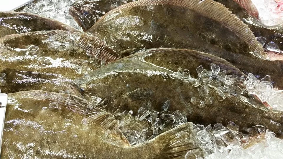 Braun Seafood