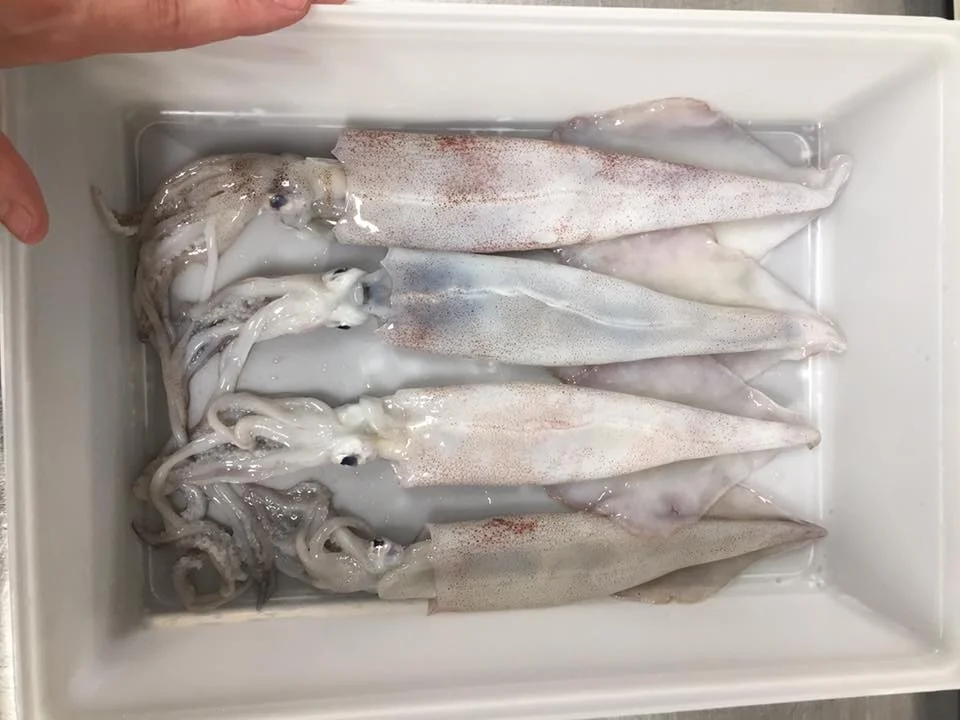 Braun Seafood