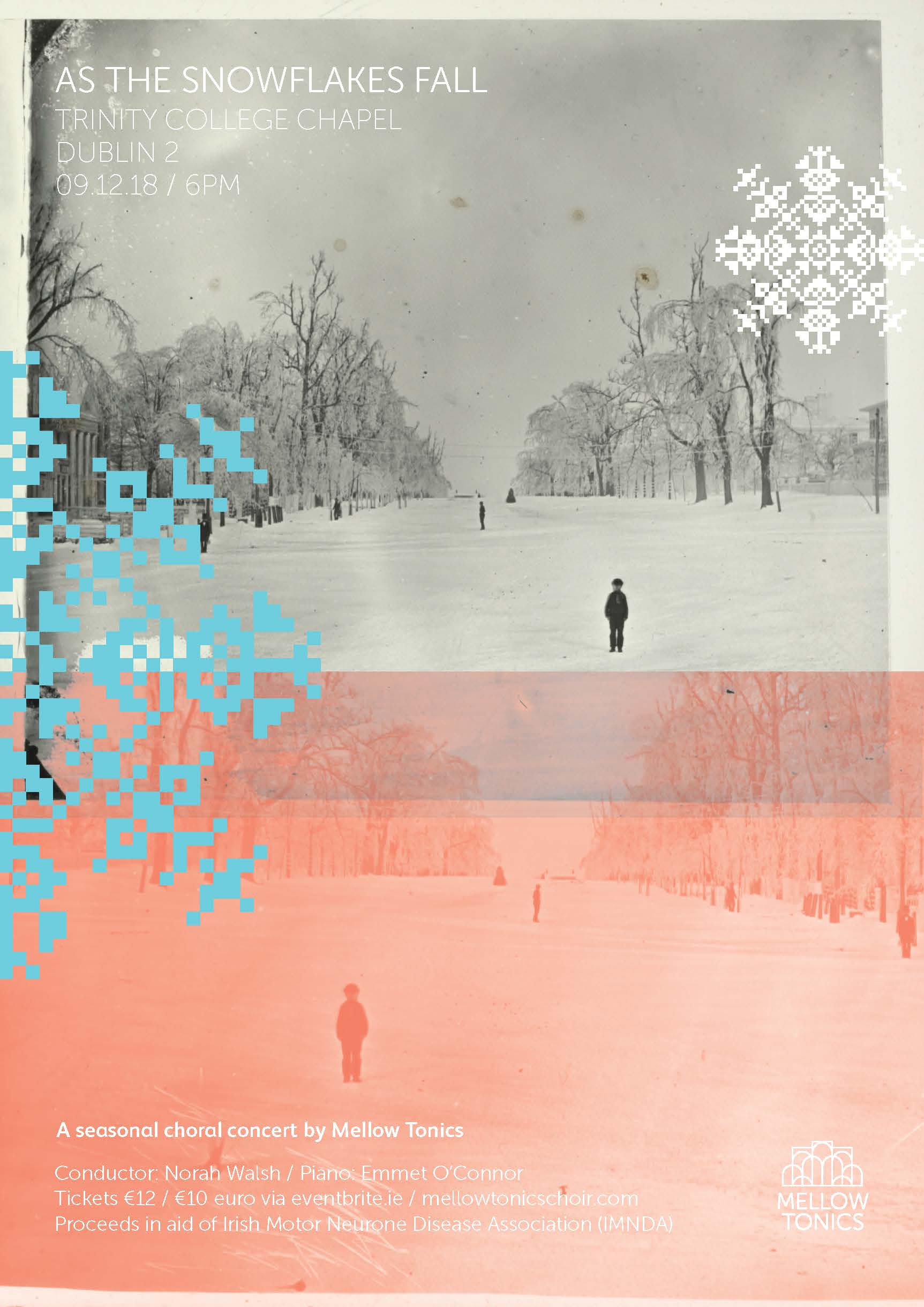 snowflakes_a5.jpg