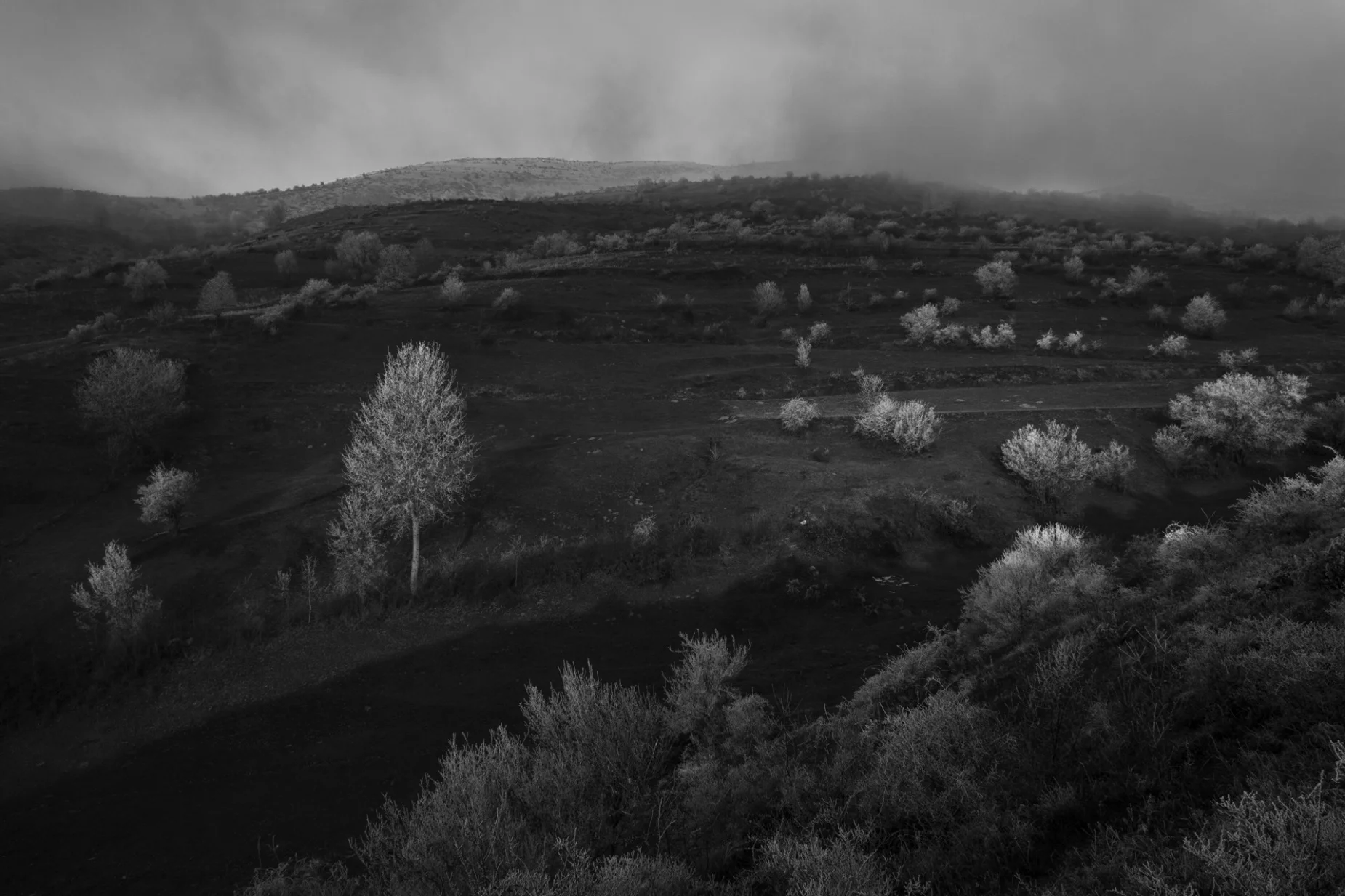 Photo imprimé sur Fine Art Pearl Baryta (Satin) 285gsm Papier - 40 x 60 cm ou 60 x 90 cm ou 90 x 135 cm
