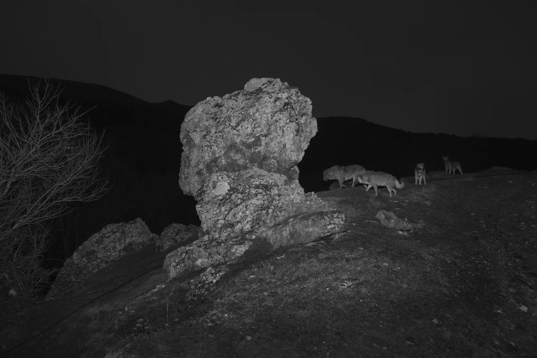 Photo imprimé sur Fine Art Pearl Baryta (Satin) 285gsm Papier - 40 x 60 cm ou 60 x 90 cm ou 90 x 135 cm