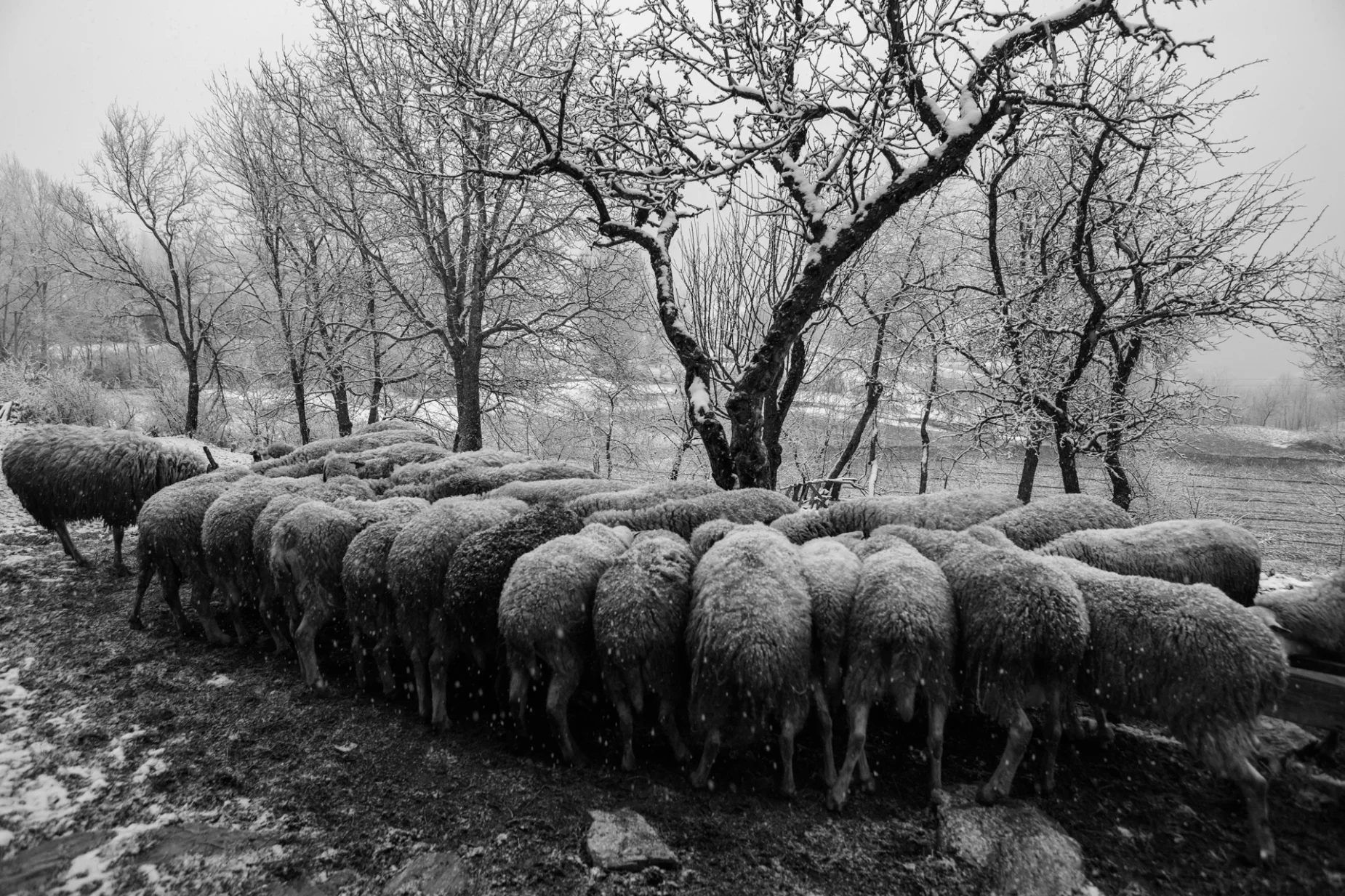 Photo imprimé sur Fine Art Pearl Baryta (Satin) 285gsm Papier - 40 x 60 cm ou 60 x 90 cm ou 90 x 135 cm