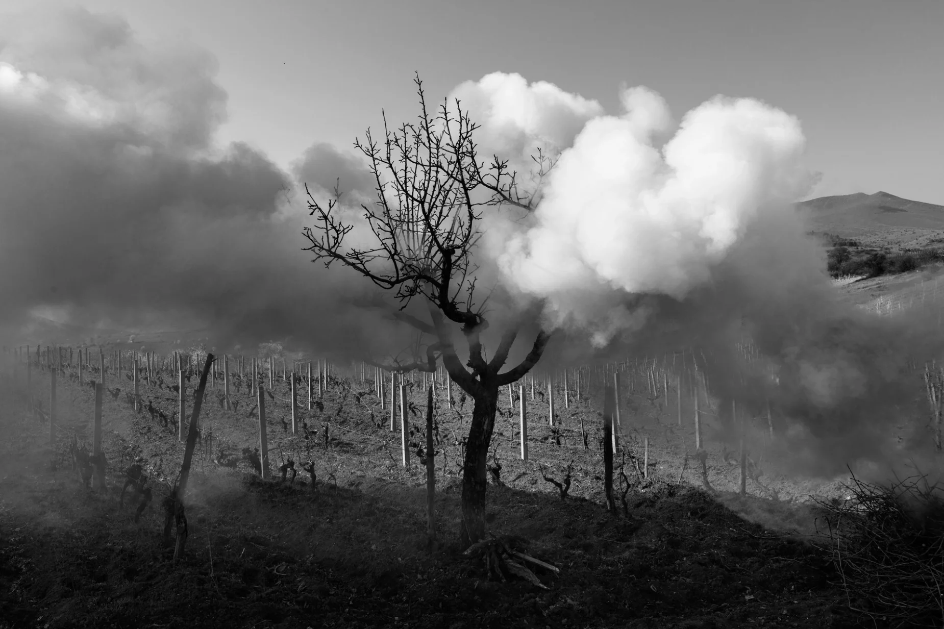 Photo imprimé sur Fine Art Pearl Baryta (Satin) 285gsm Papier - 40 x 60 cm ou 60 x 90 cm ou 90 x 135 cm