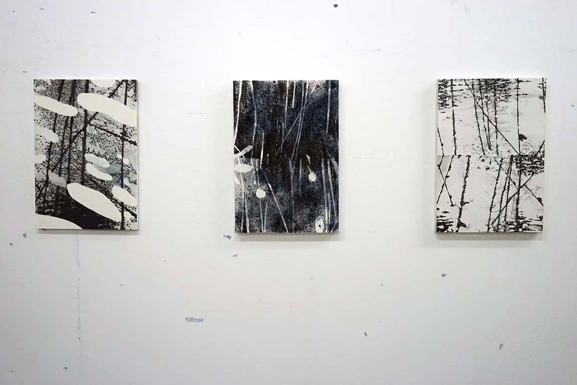 Studio view - waterscopies