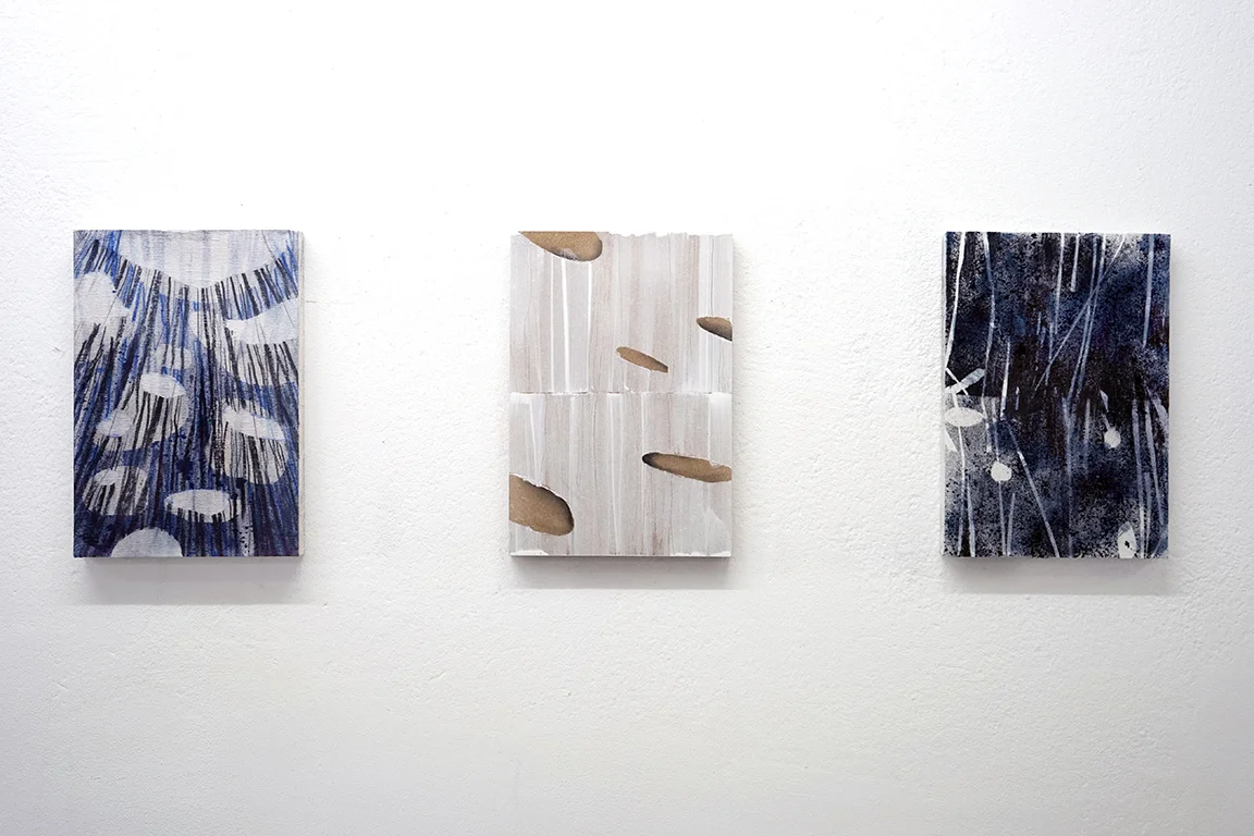Studio view - waterscopies