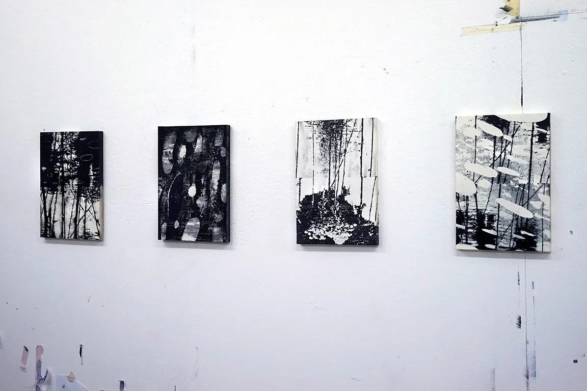 Studio view -waterscopies