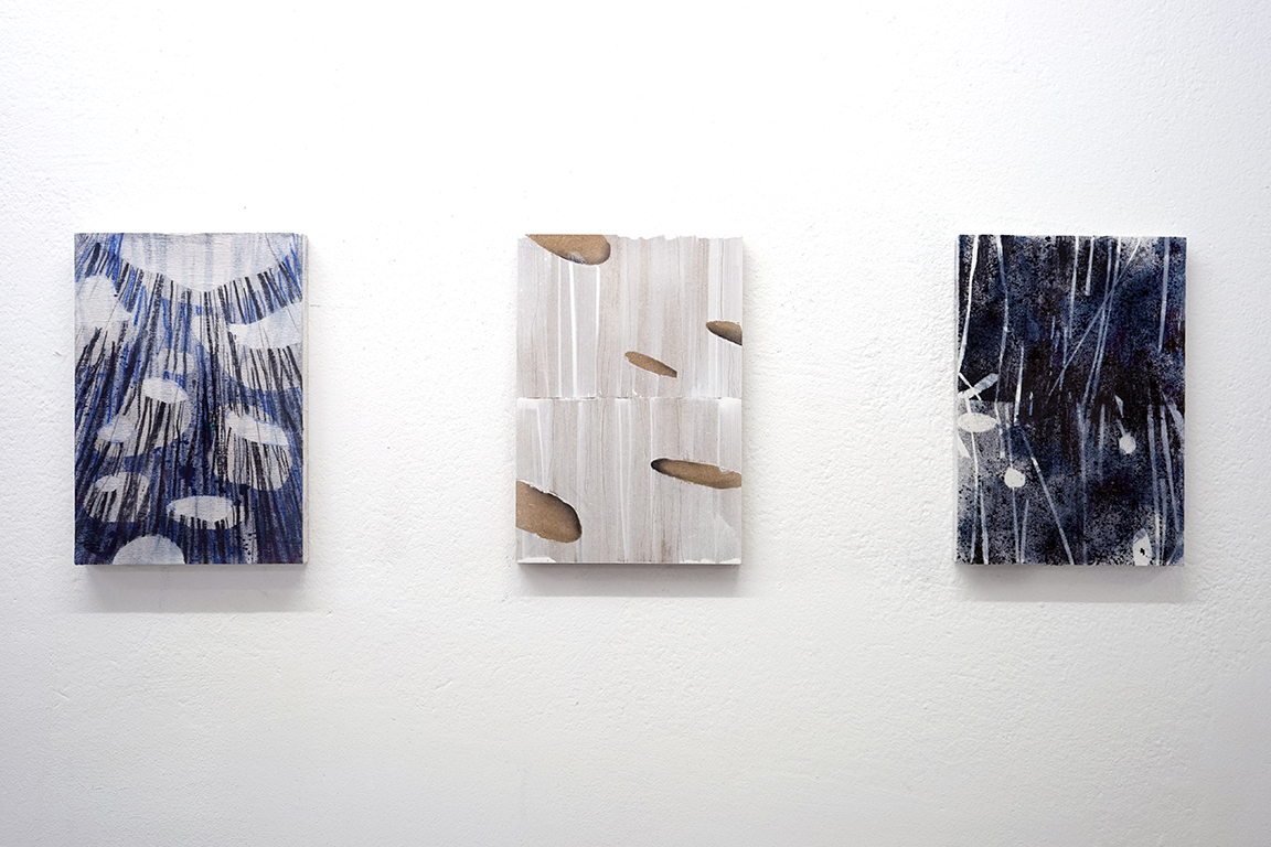 Studio view - waterscopies