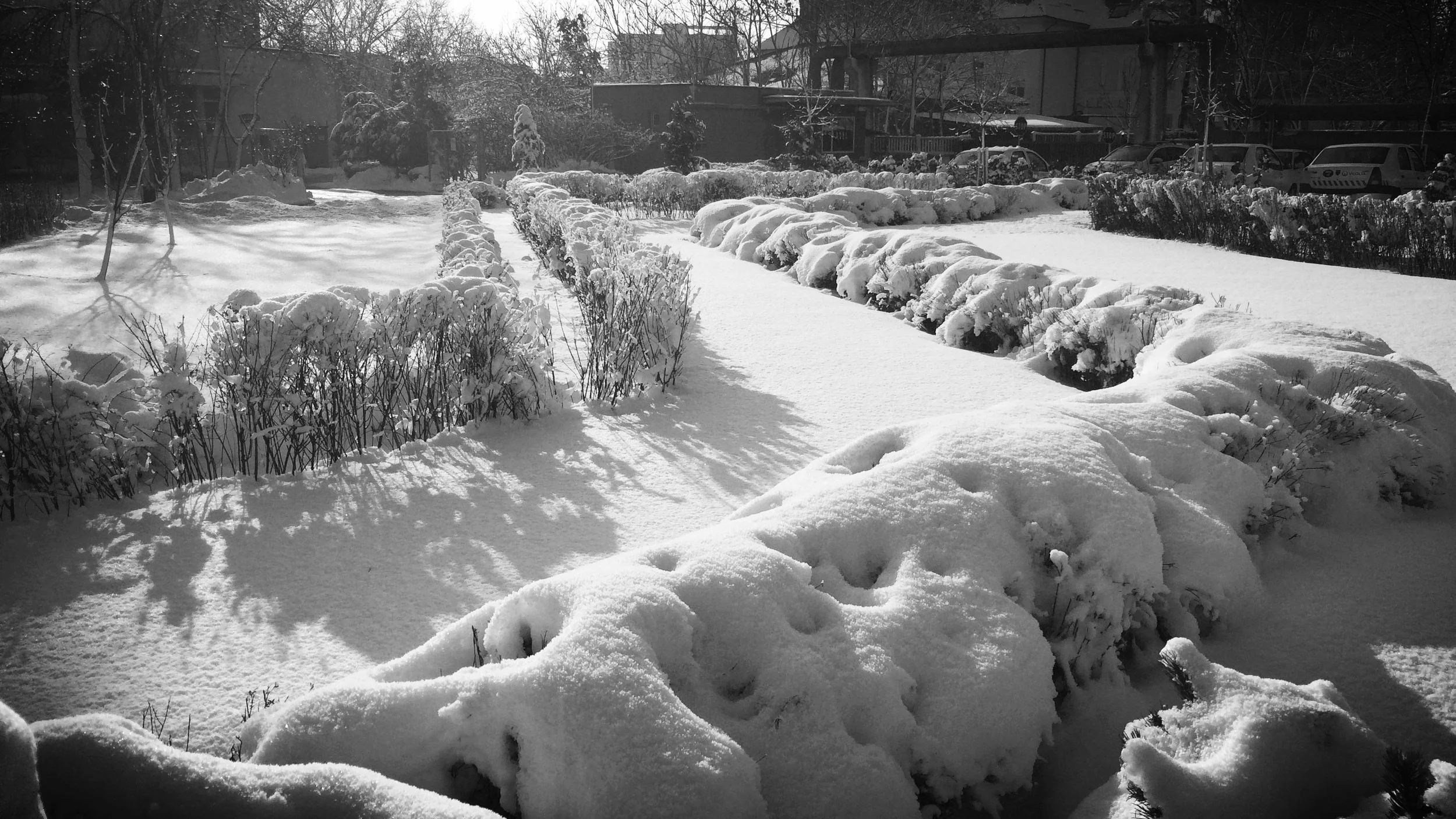 Parc ANB Grozavesti - 2014