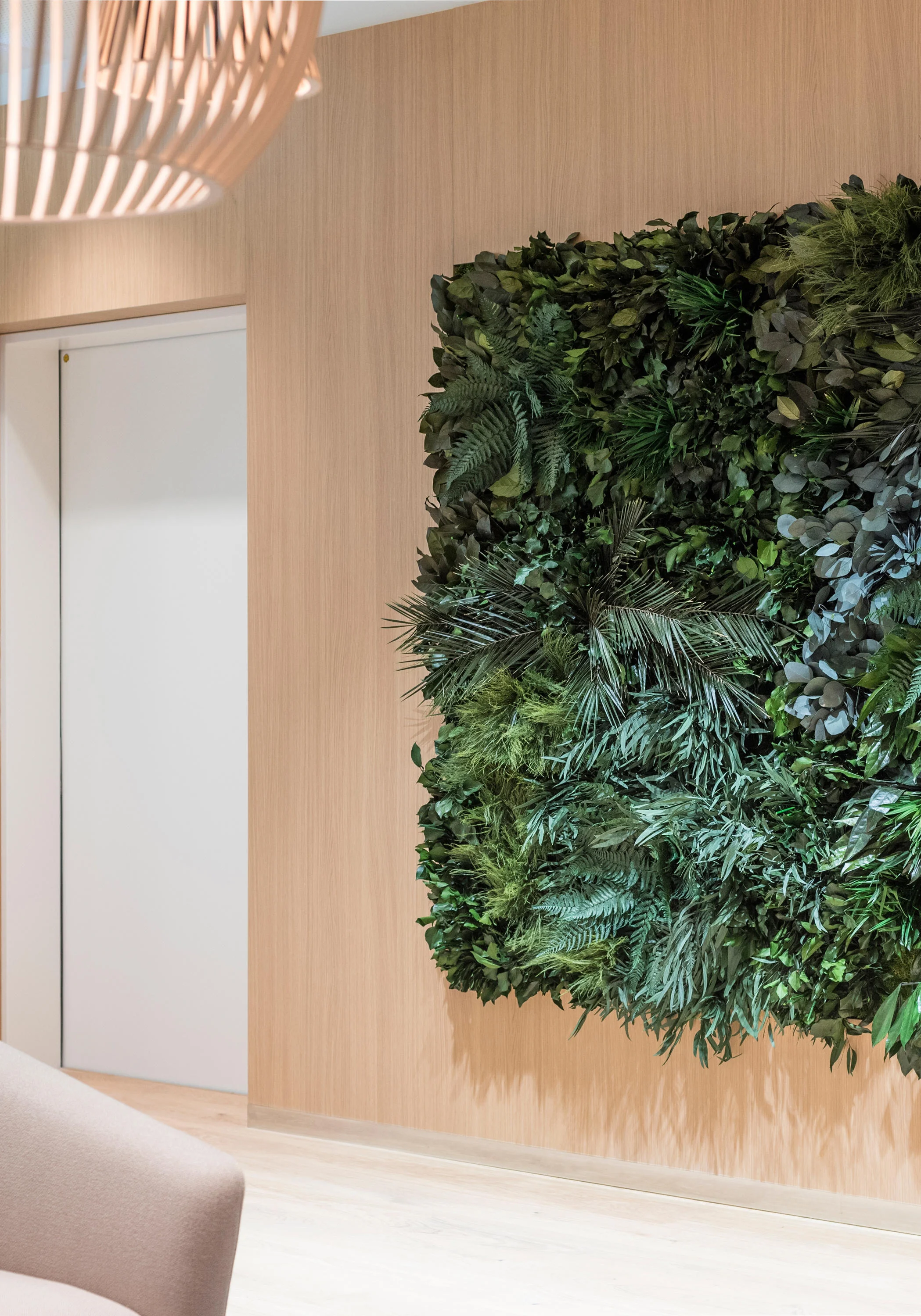 individual-jungle03-h.jpg