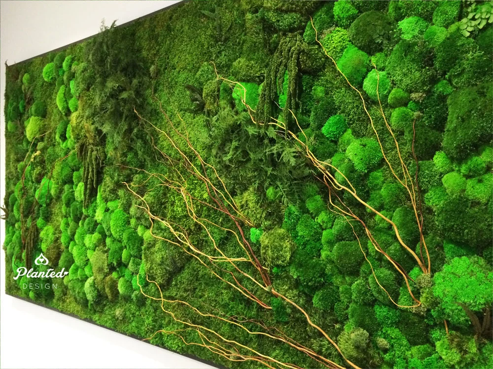 PlantedDesign-Moss-Wall-SF-InsideSource-11.jpg