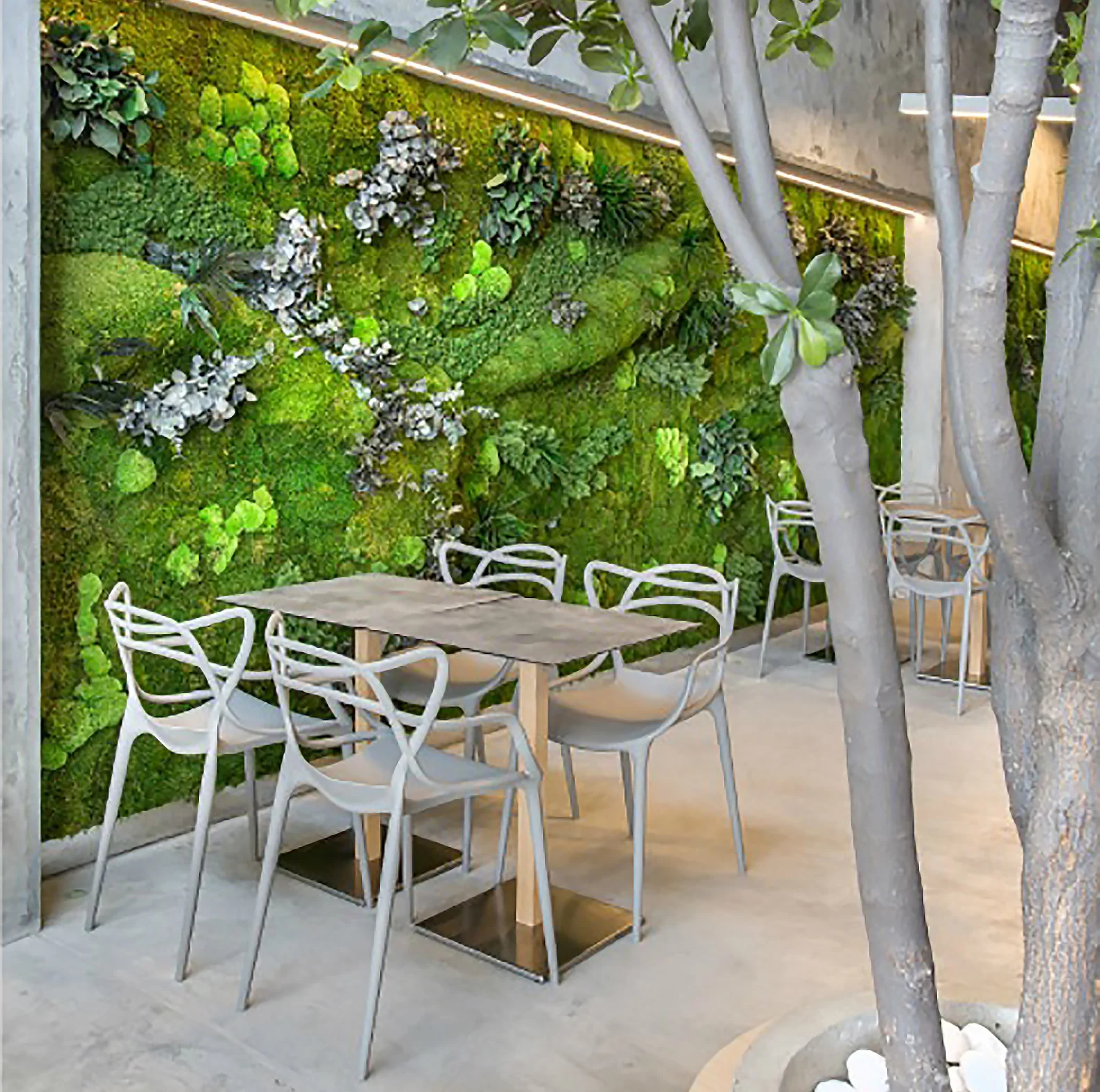 T.Bar-Design.jpg