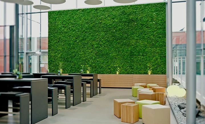 6d1af1cc2fcff58bd68deef046d5a22b--moss-wall-plant-art.jpg