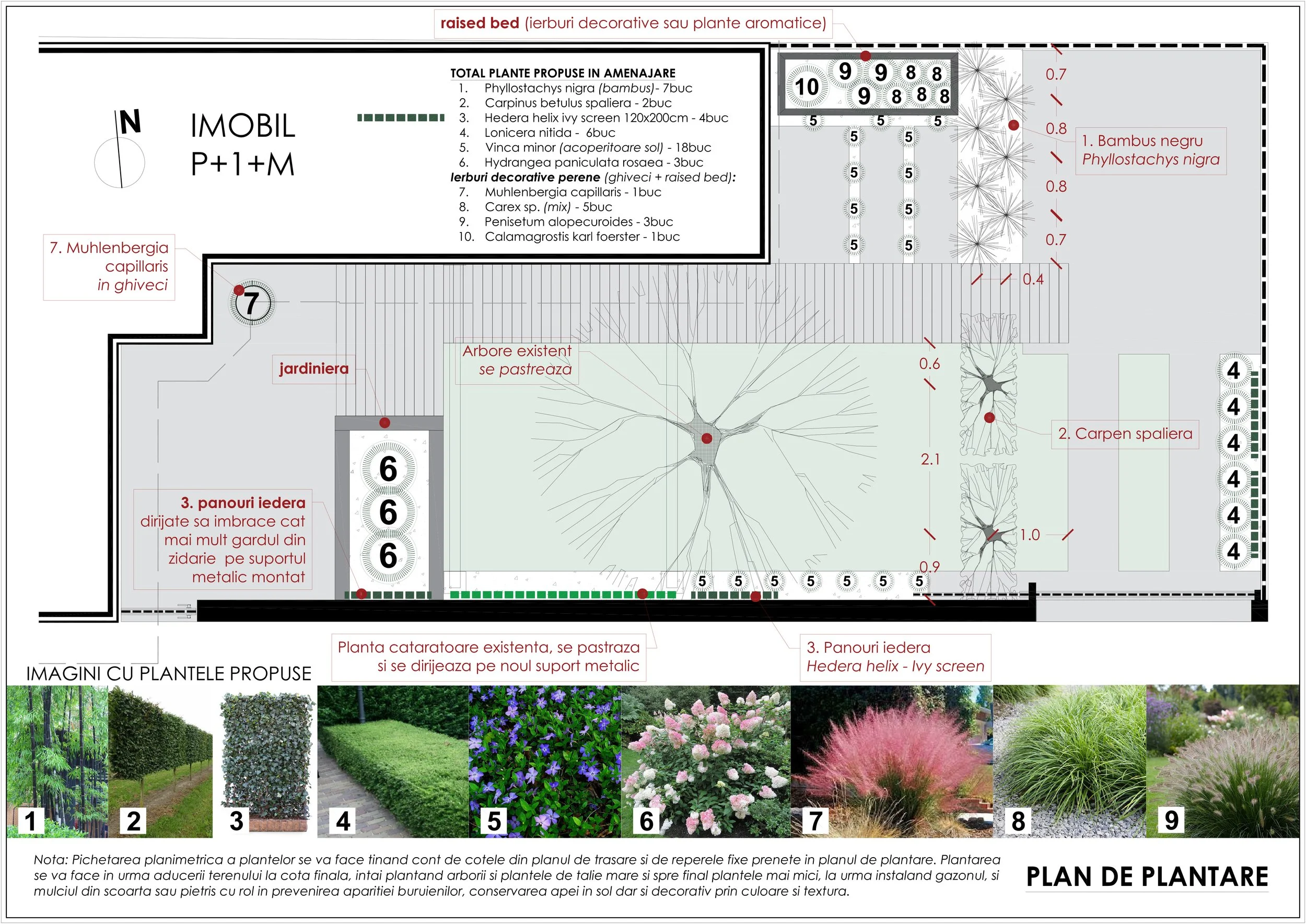 PLAN DE PLANTARE A3.jpg