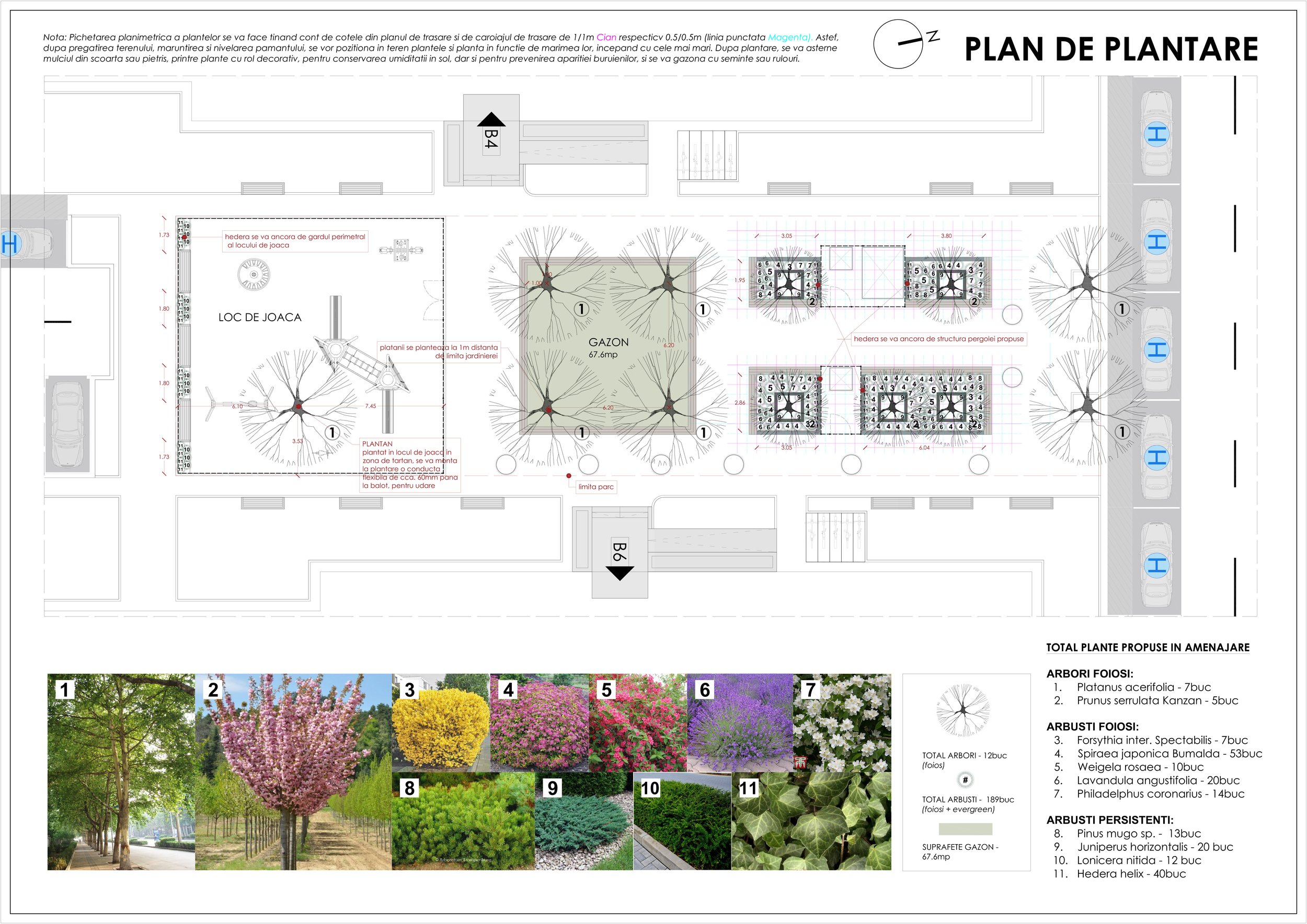 Plan de plantare Parc Hils A2.jpg