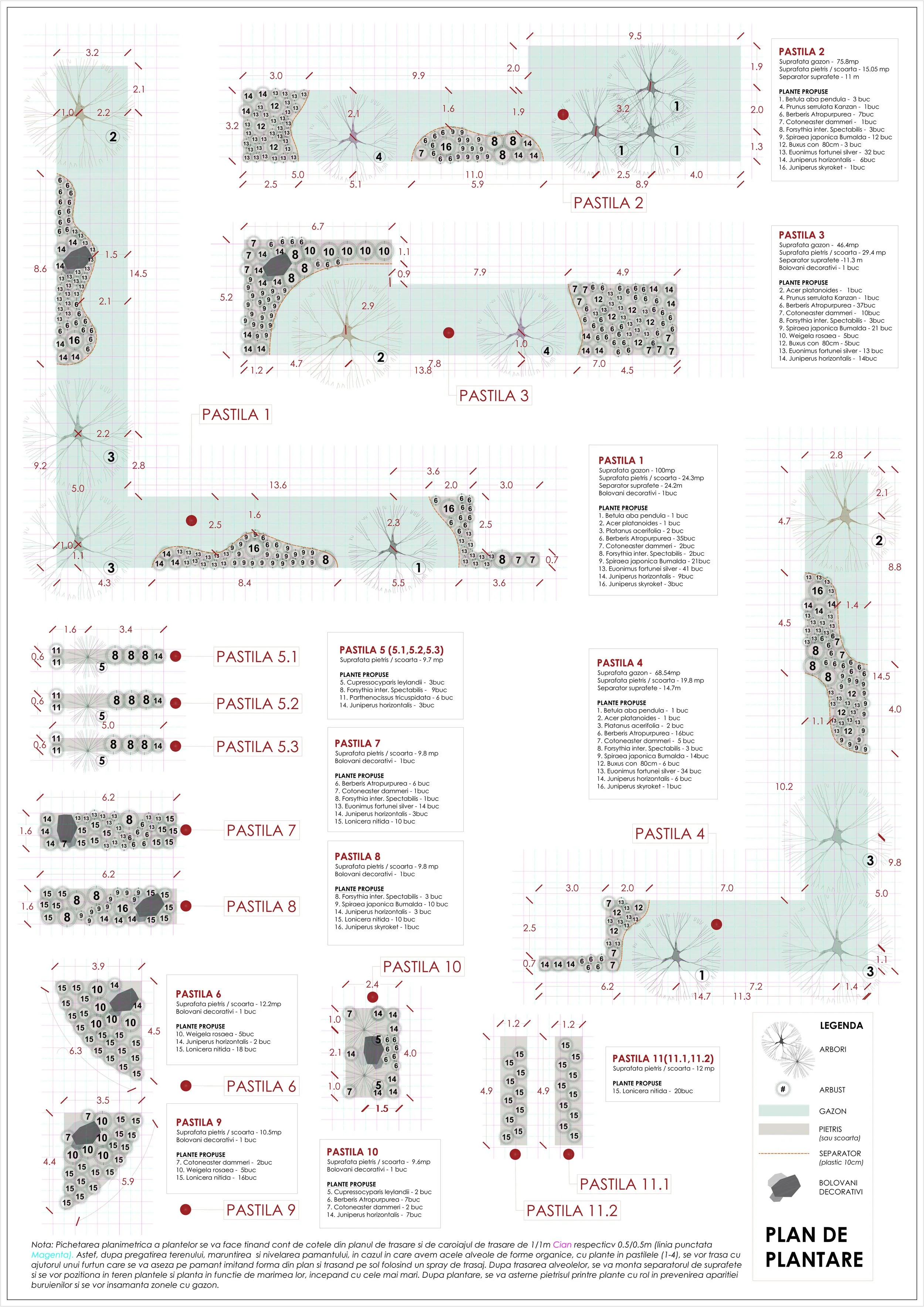 PLAN  DE  PLANTARE A1.jpg