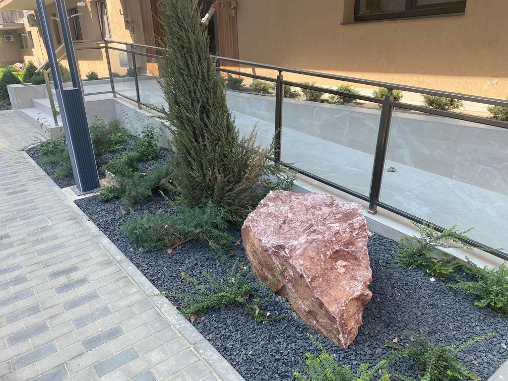 WhatsApp Image 2022-02-17 at 3.37.11 AM (2).jpeg