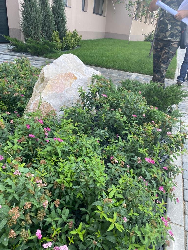 WhatsApp Image 2022-02-17 at 3.37.11 AM (9).jpeg