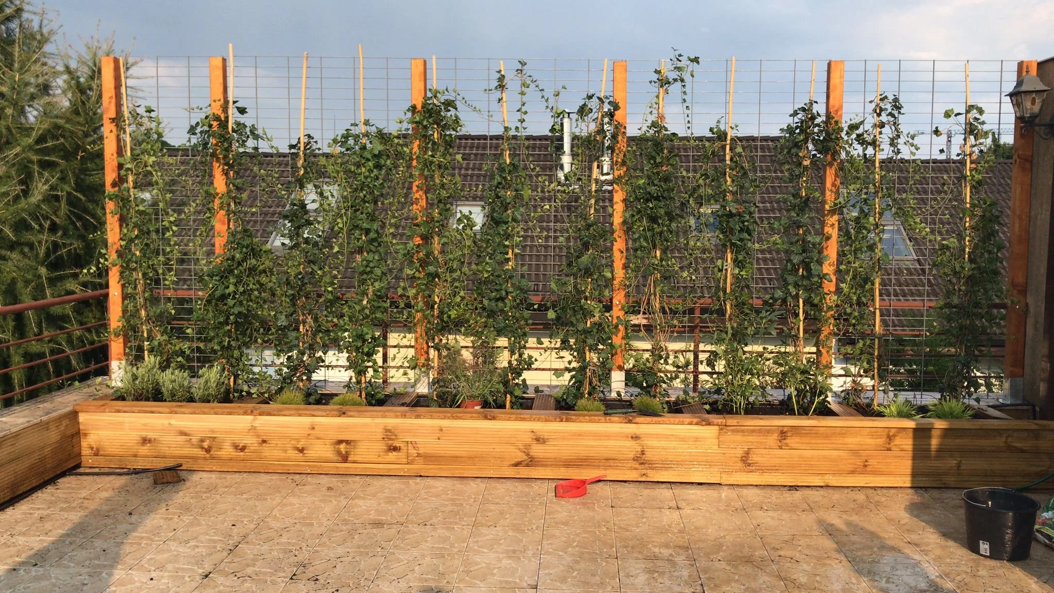 WhatsApp Image 2022-08-16 at 6.19.11 PM.jpeg