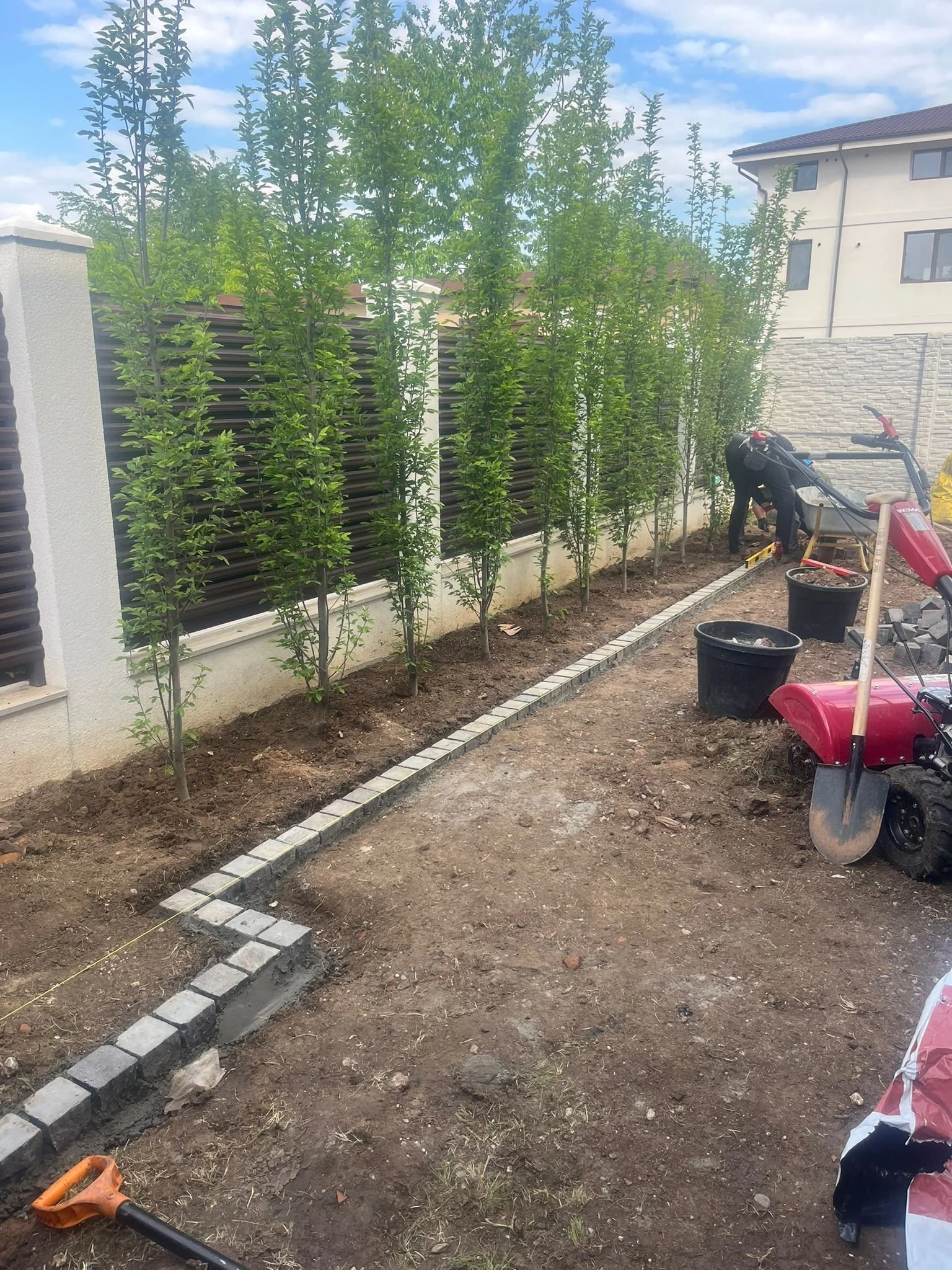 WhatsApp Image 2026-01-19 at 15.41.31.jpeg