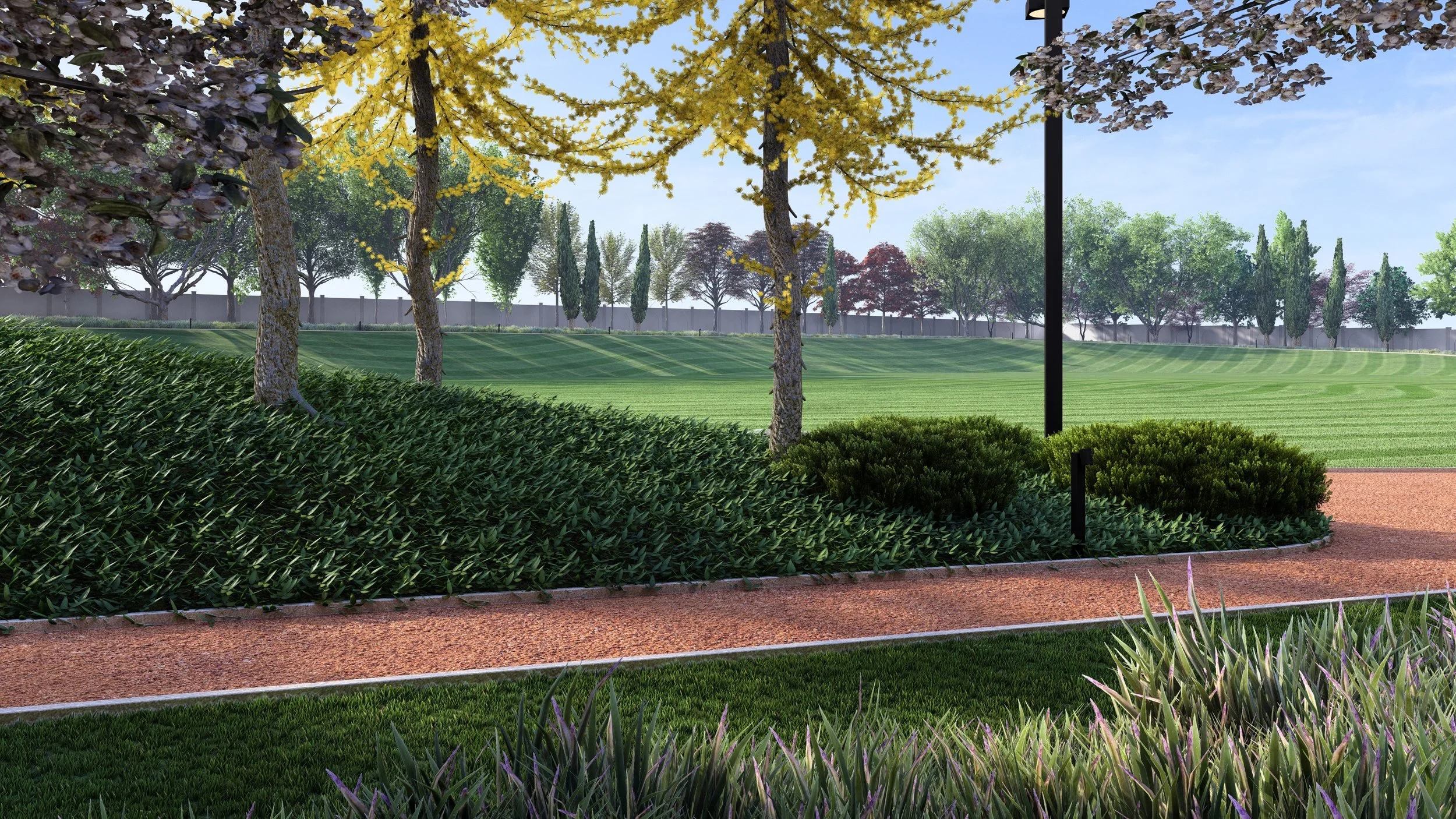 Simulari faza 1_43 - Photo.jpg