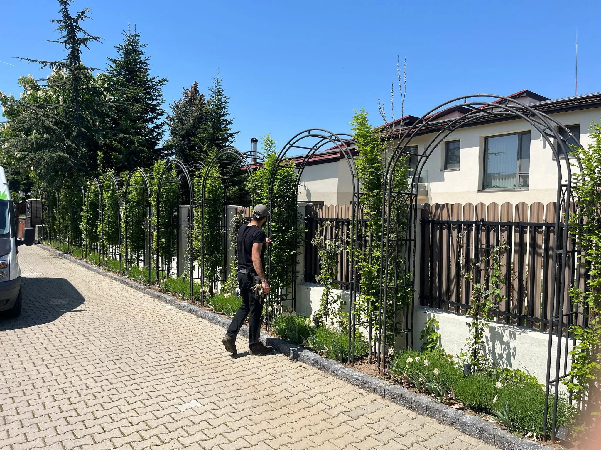 WhatsApp Image 2026-01-20 at 17.00.15 (6).jpeg