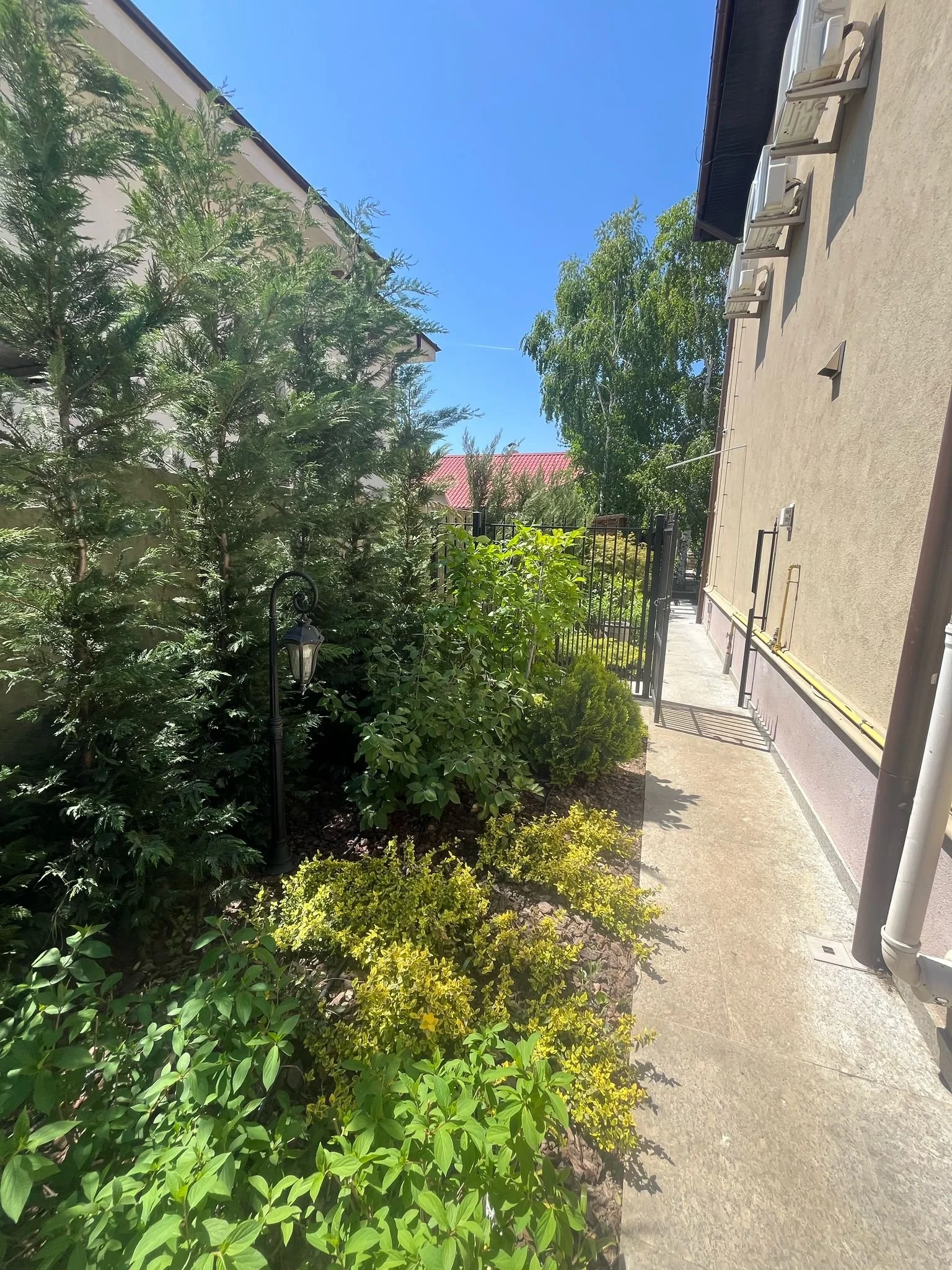 WhatsApp Image 2026-01-20 at 17.00.15 (8).jpeg