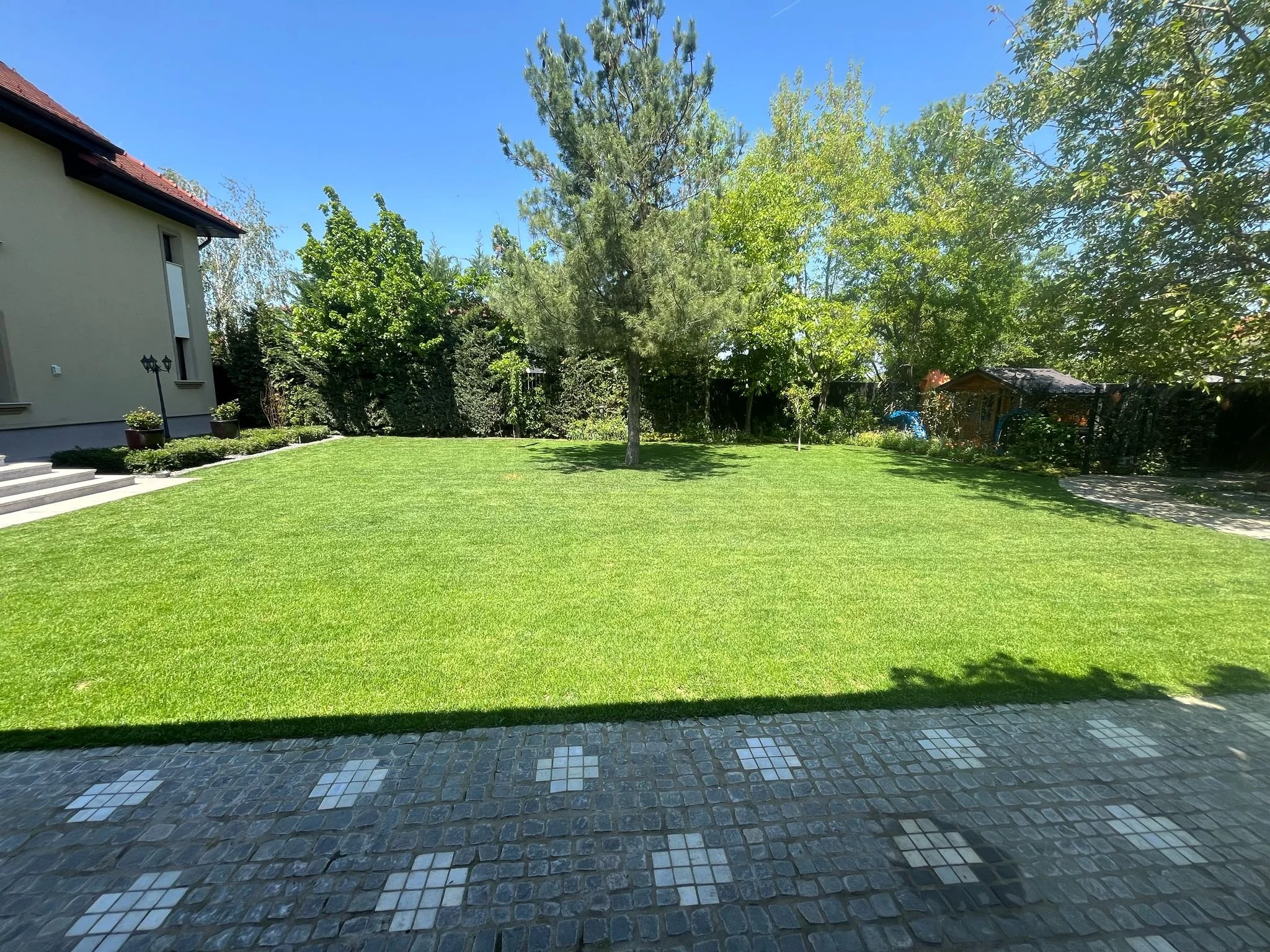 WhatsApp Image 2026-01-20 at 17.00.15.jpeg