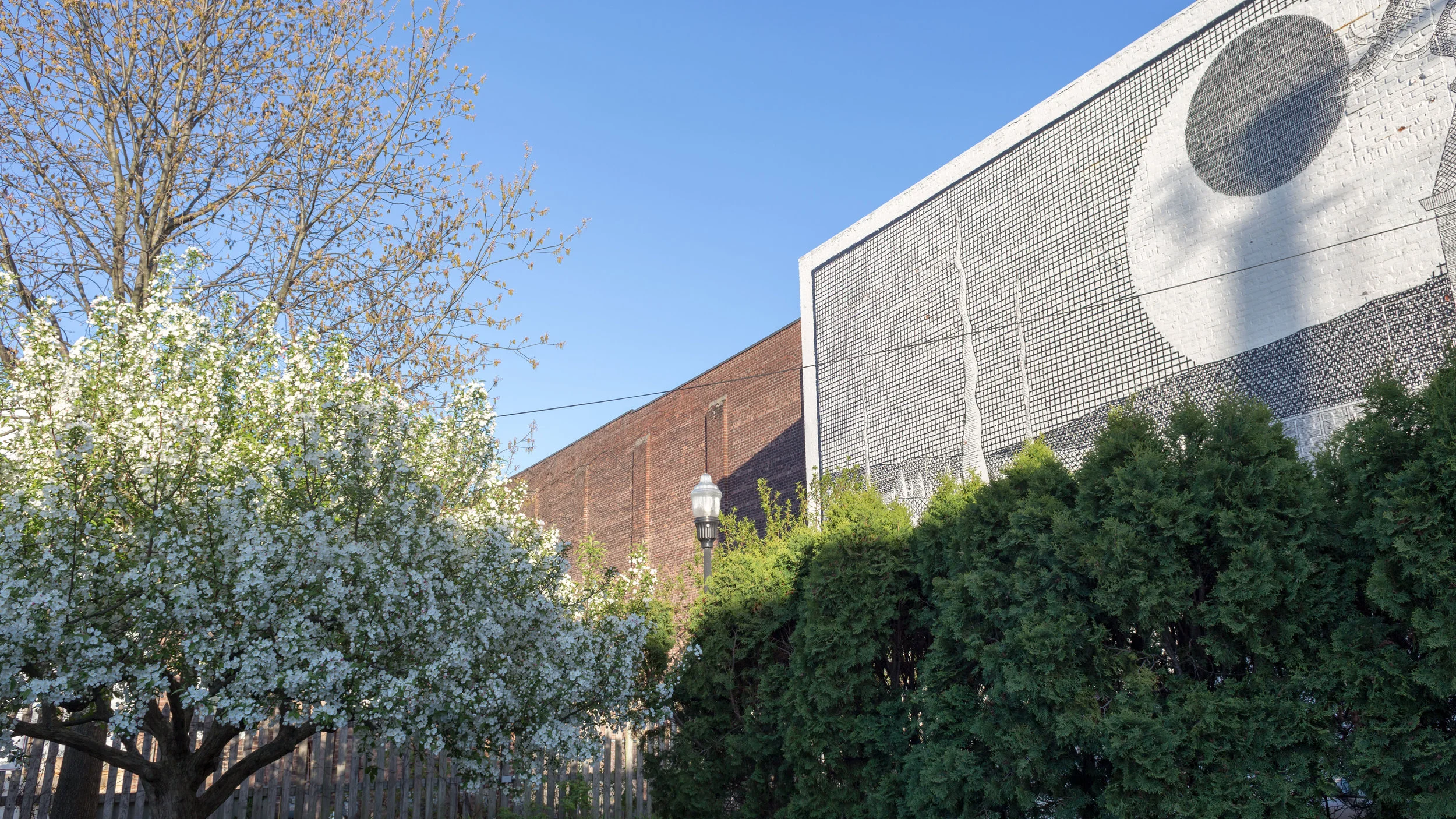Spring-time in Uptown Kingston, featuring wall mural by local artist, Matthew Pleva. Photograph by Margrit Wenzel