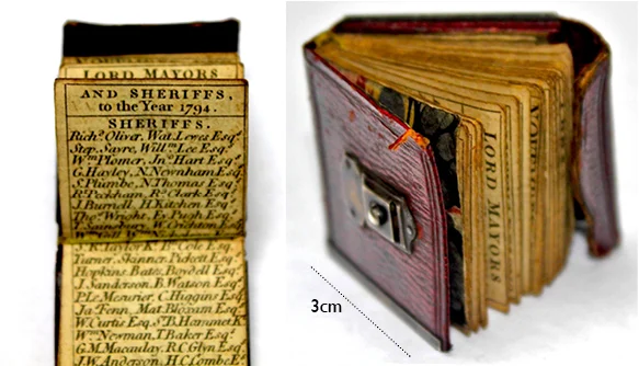The tiny almanac measuring just 3cm square.