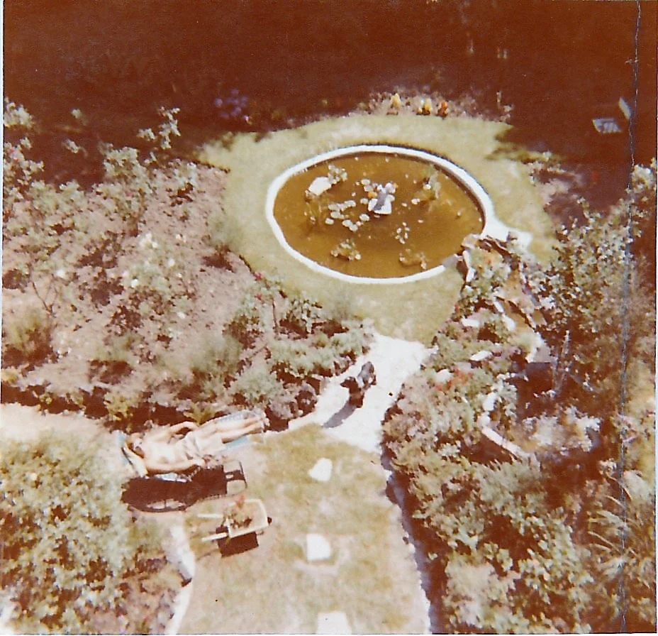 View of the pond dug for the Queen's coronation in 1953. Source: Cheryl Spray