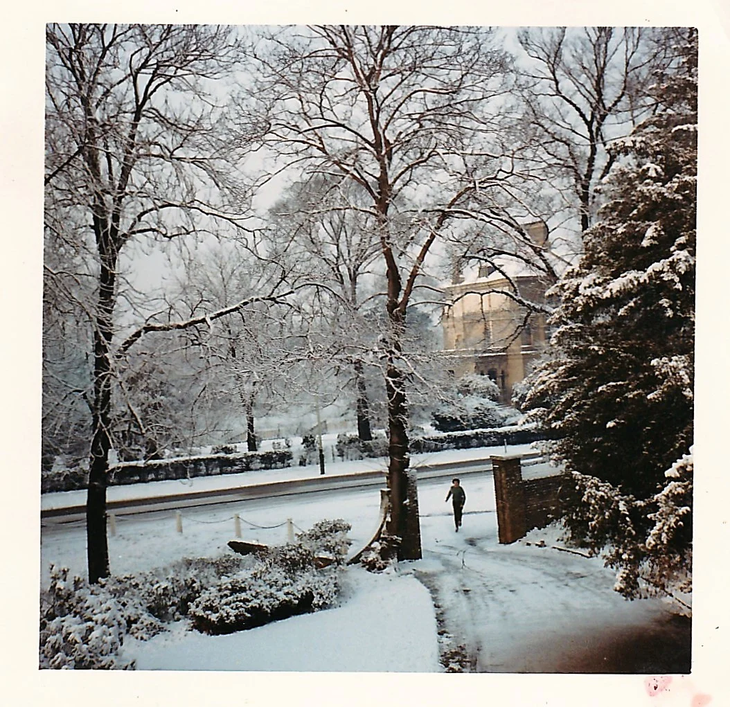 View from front window. Source: Cheryl Spray