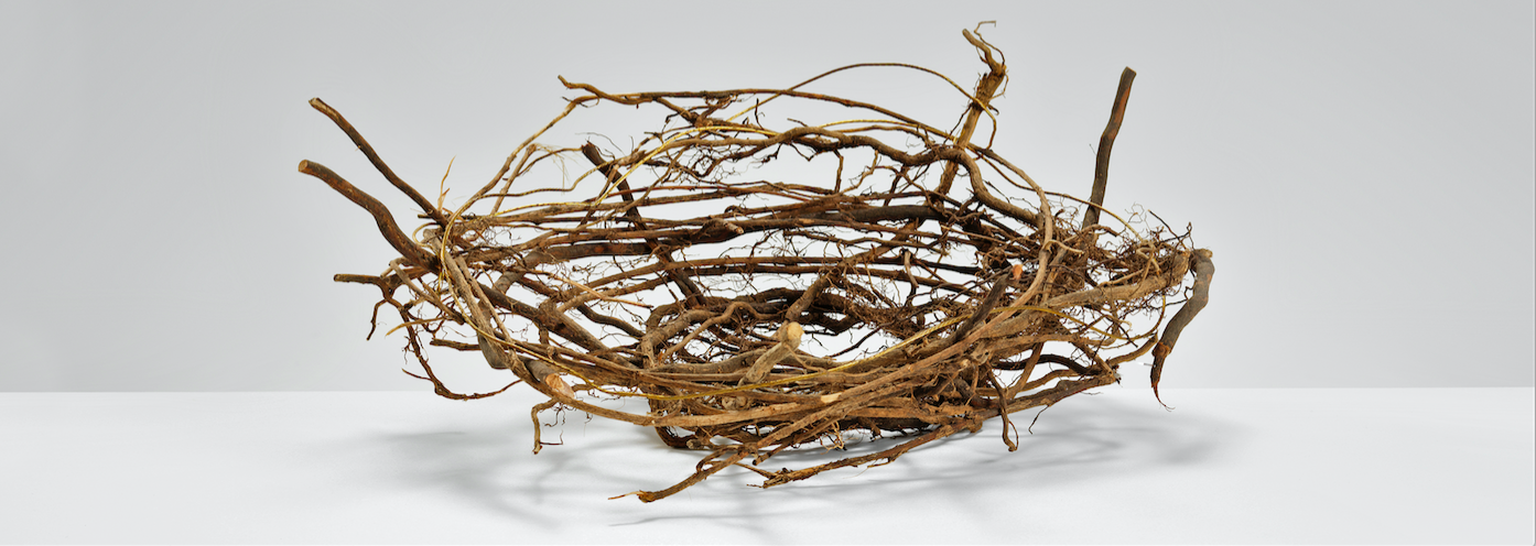 Woven Tales. Pip Rice. 