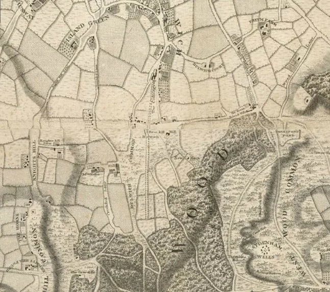 Roque 1746.jpg
