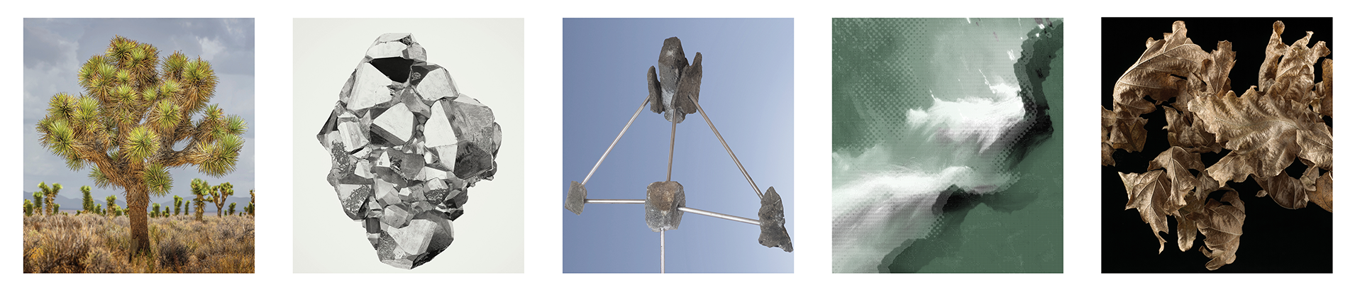 Natural Selection Photography Exhibition 