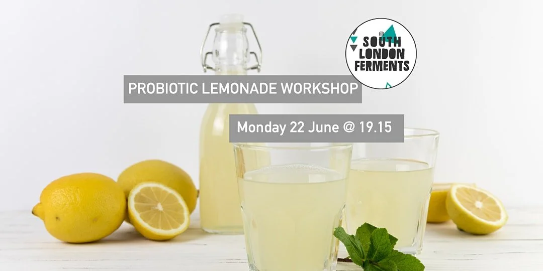Probiotic Lemonade Workshop