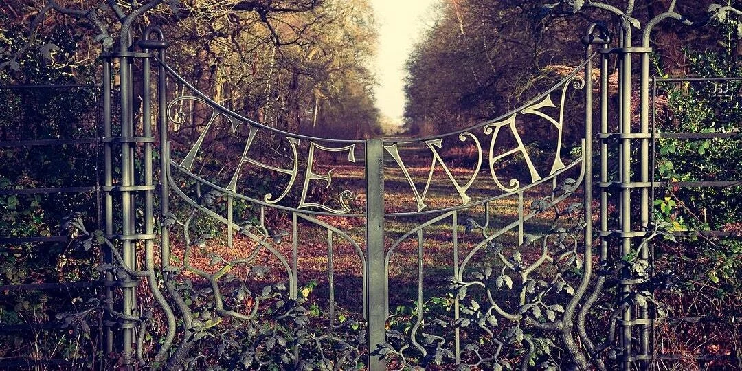 Diverse Landscapes – Part 1: Individuals - My name is…