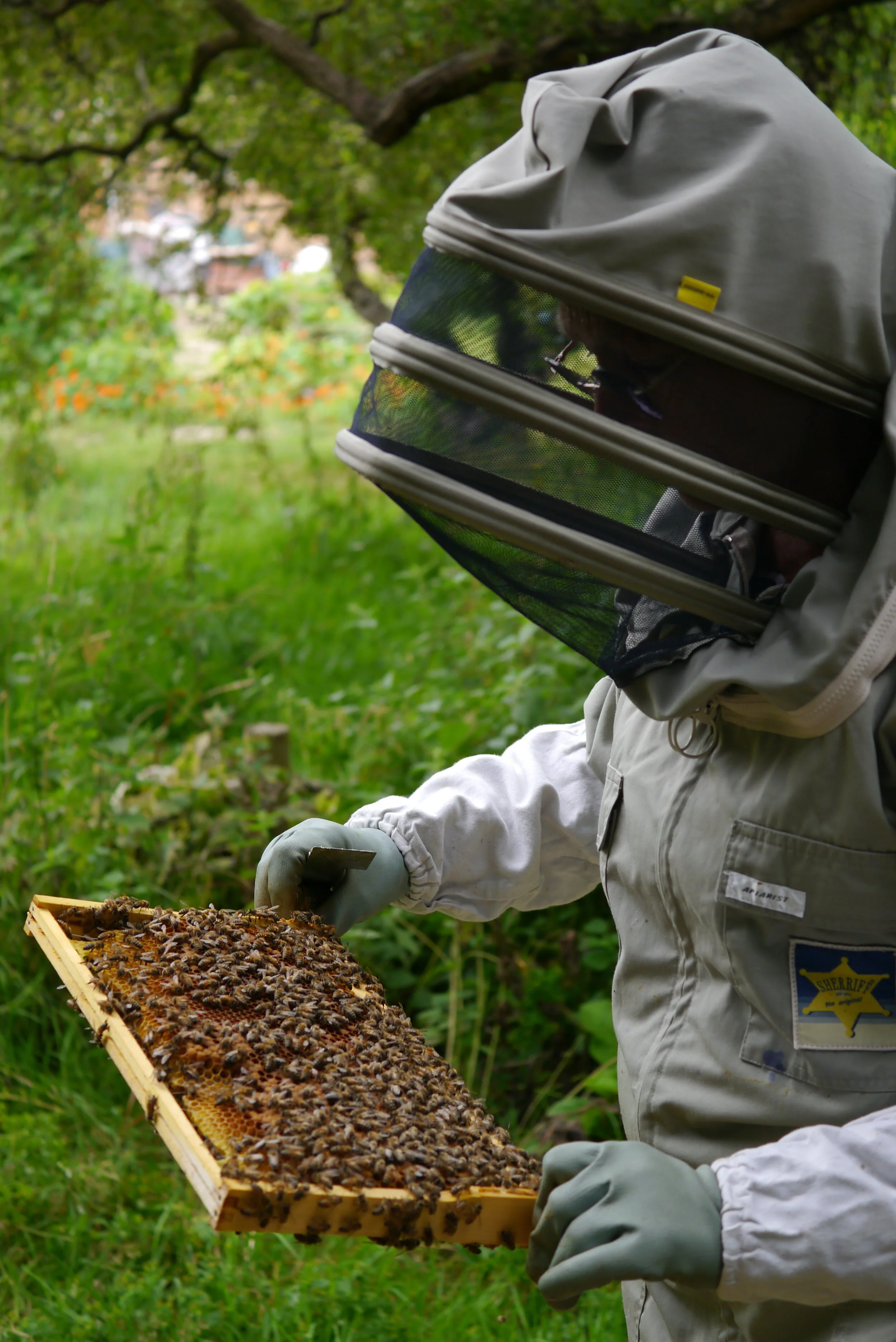 Volunteer profile - Annie