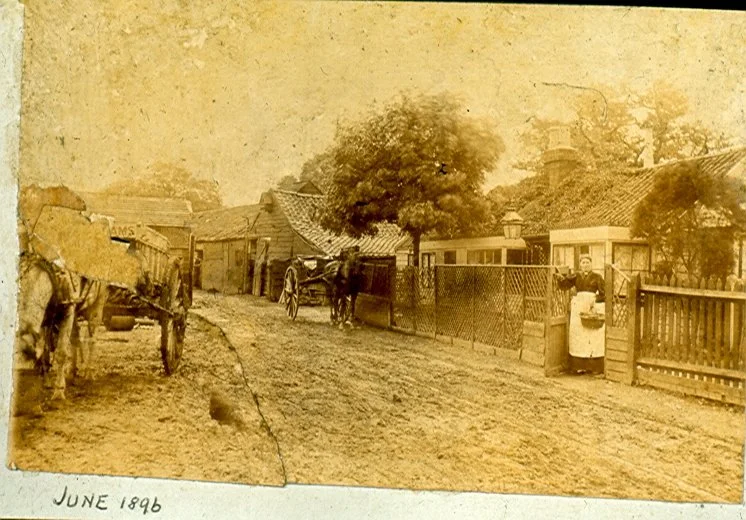 The Decline of Farming and the Rise of the Sports Clubs in Dulwich with Brian Green