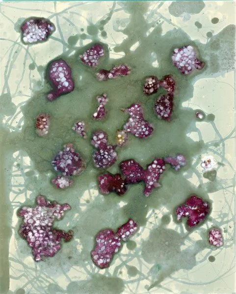 Windows and Thresholds - Alternative Process Photography Workshop