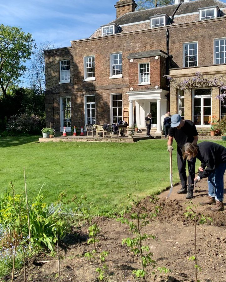 Great teamwork from our garden volunteers preparing the pollinator bed and a rare bit of sunshine too! We received a grant from @londonbeekeepersassociation from their pollinator fund and have used it to buy seed and plug plants to fill this bed. 
Th