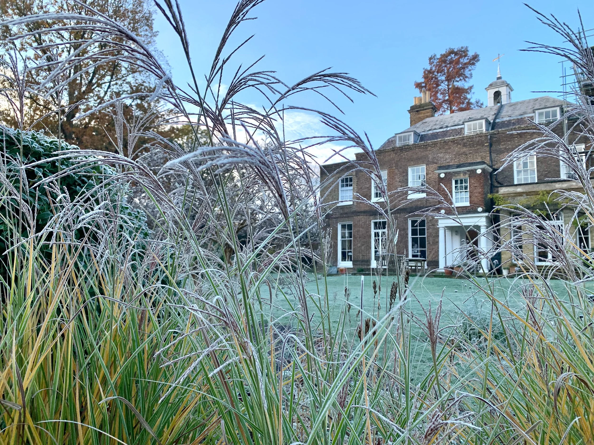 Bell House Open Garden - October