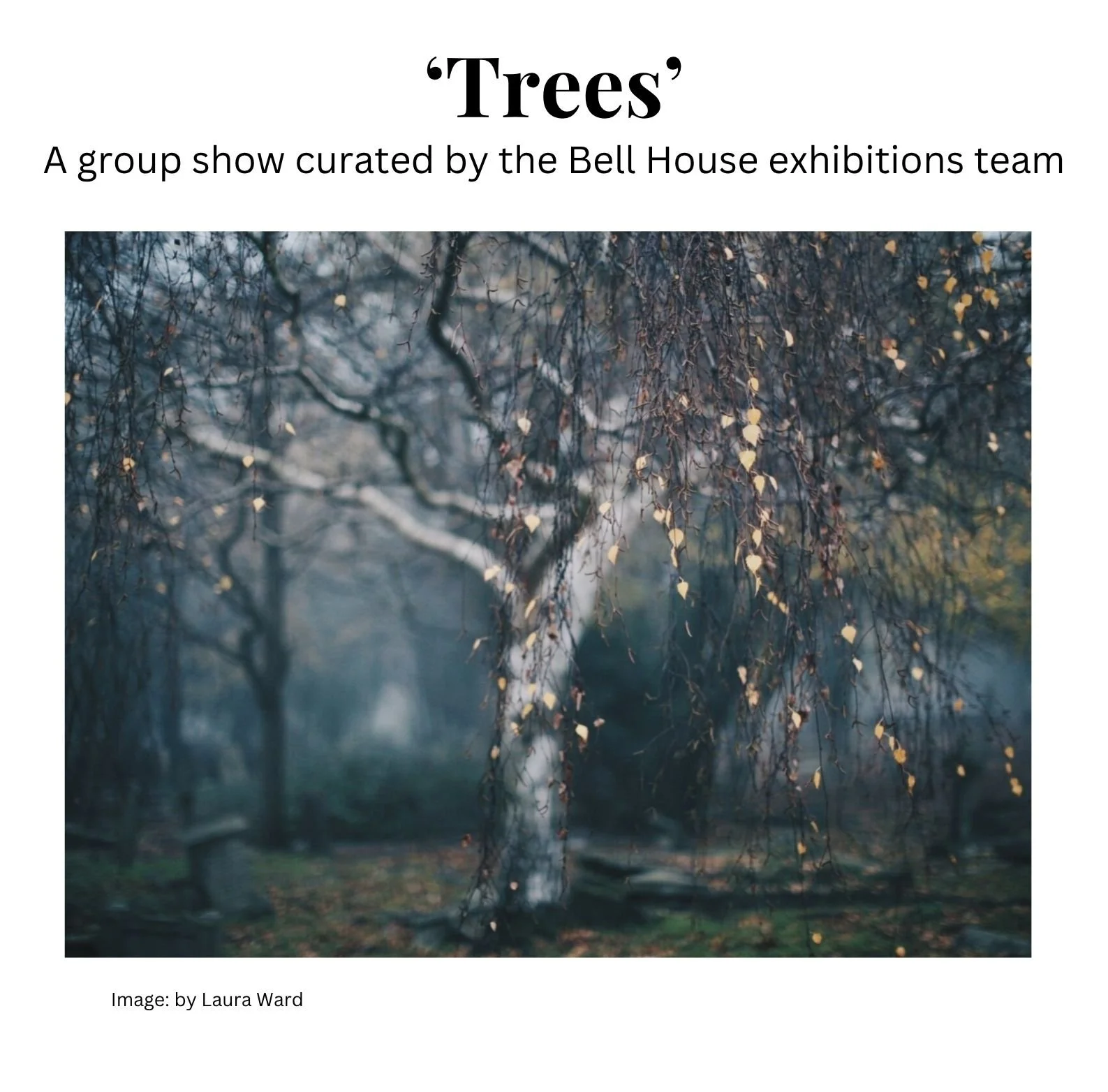 Art Exhibition: ‘Trees’