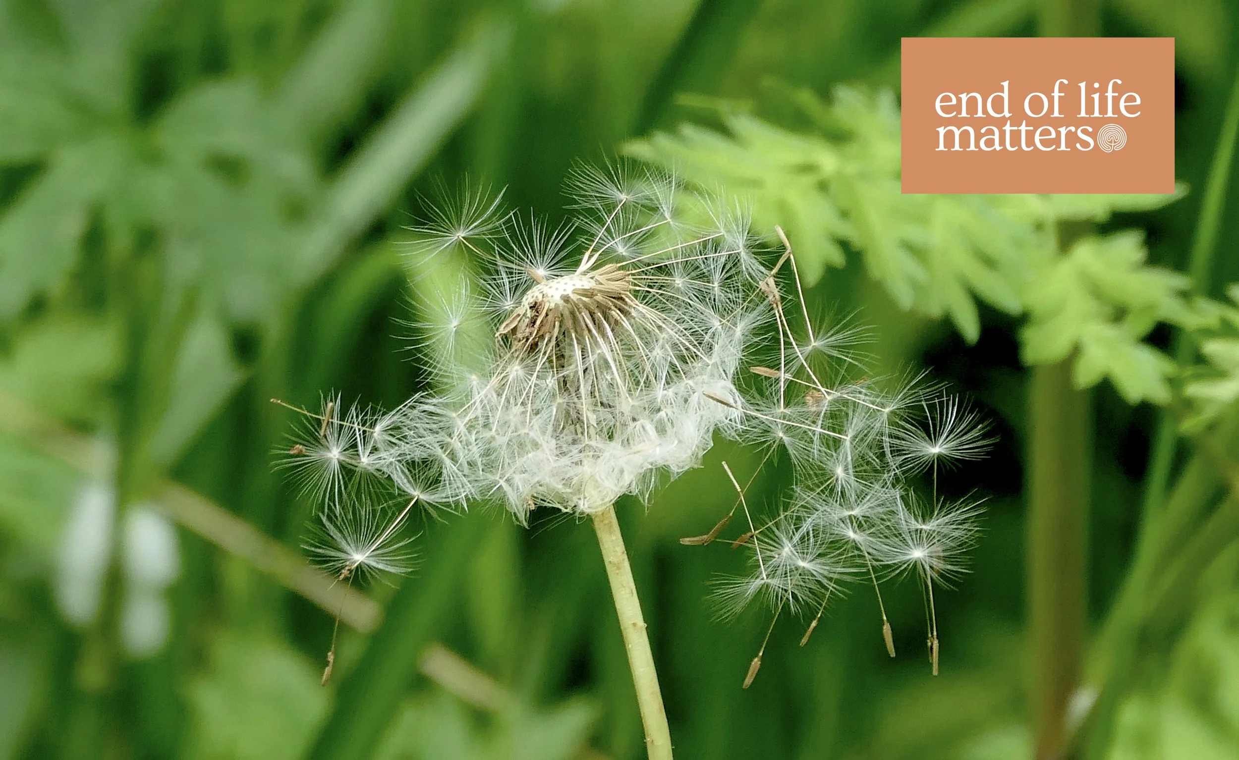 How End-of-Life Doulas Can Help – No Matter Your Age