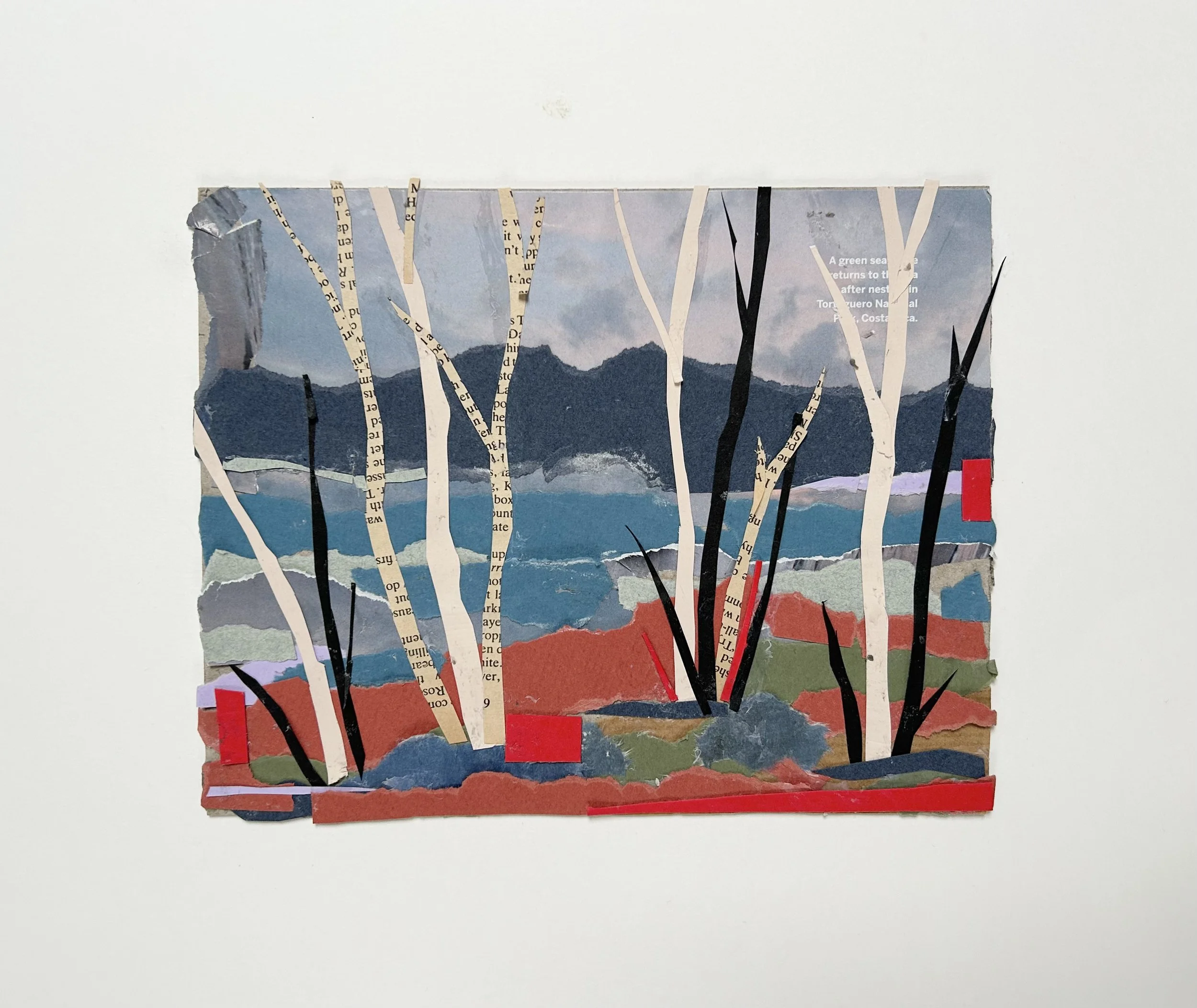 The Creative Arts Club: Art for All | Collage Landscapes