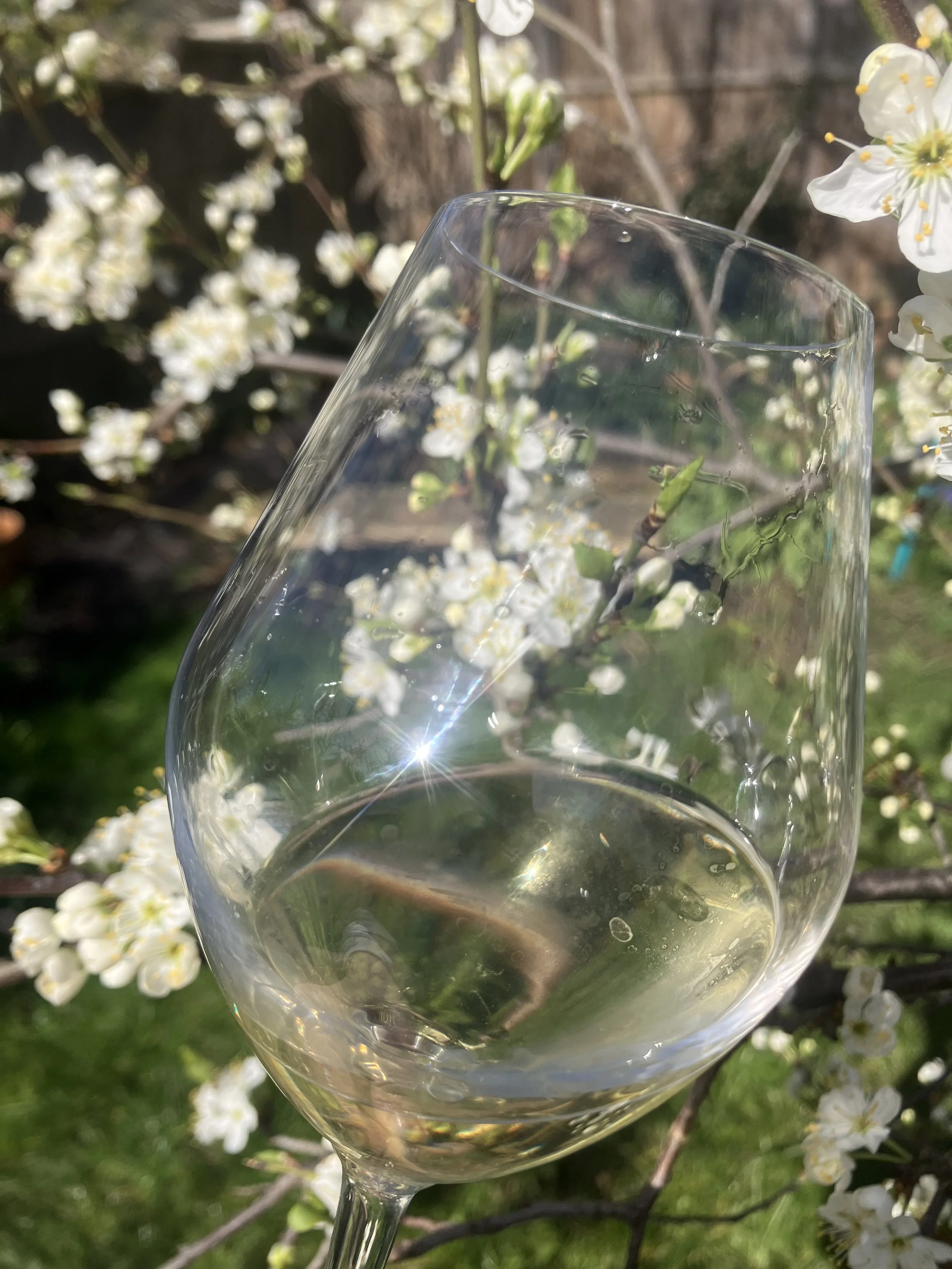 Seasonal food and wine tasting: Spring