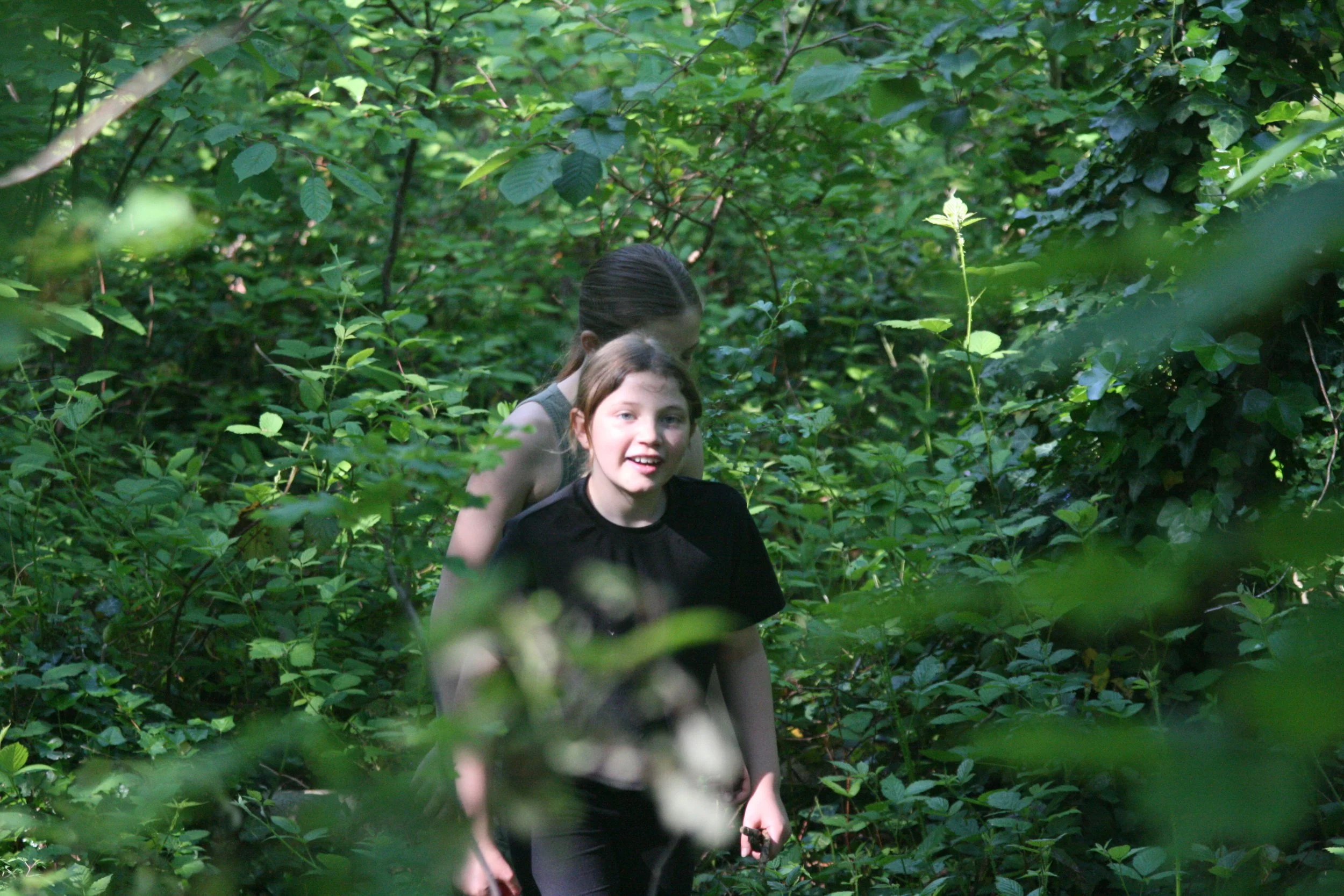 Mini Beasts in Big Food Chains (Children’s Nature Workshop)