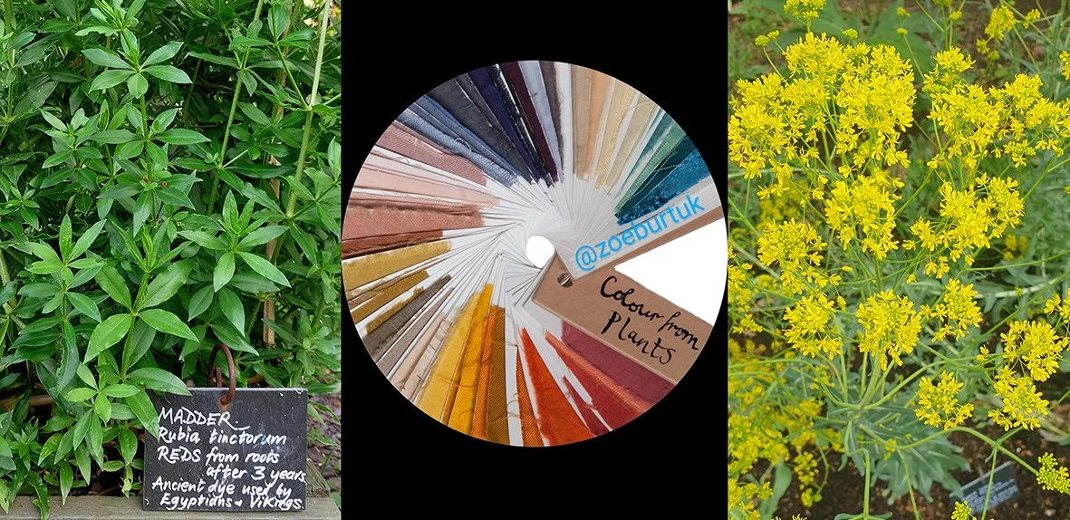 An Introduction to Natural Dyeing