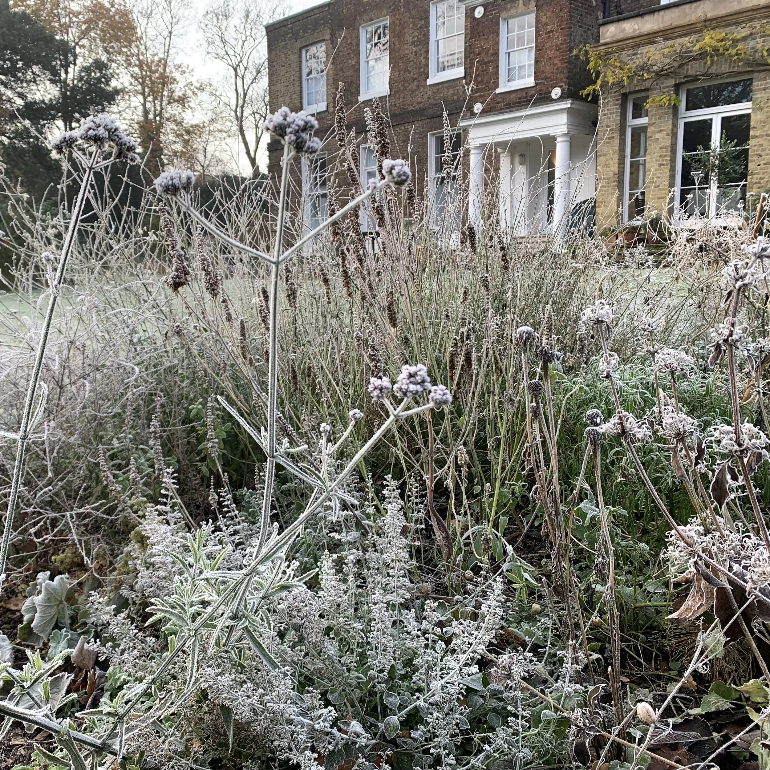 Bell House Open Garden - November